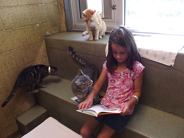 reading-children-shelter-cats-book-buddies-13 reading-children-shelter-cats-book-buddies-13