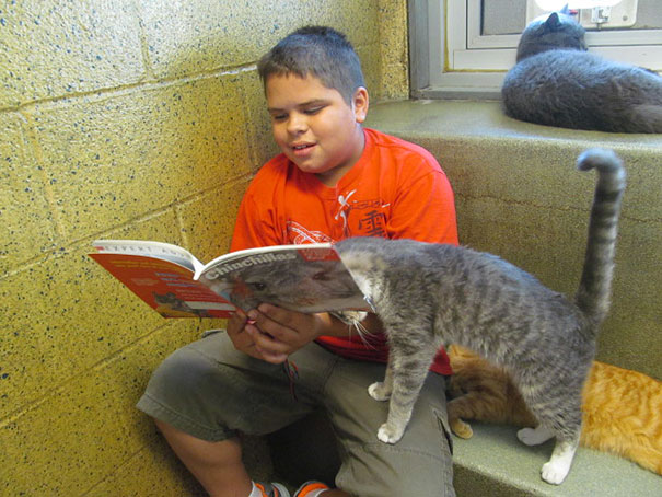 reading-children-shelter-cats-book-buddies-15 reading-children-shelter-cats-book-buddies-15