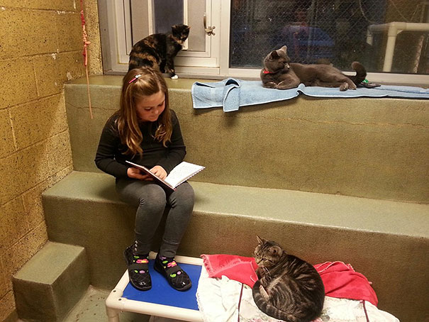 reading-children-shelter-cats-book-buddies-2