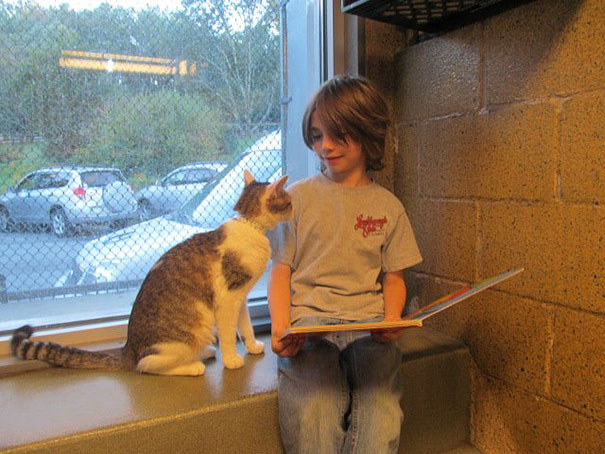 reading-children-shelter-cats-book-buddies-6 reading-children-shelter-cats-book-buddies-6