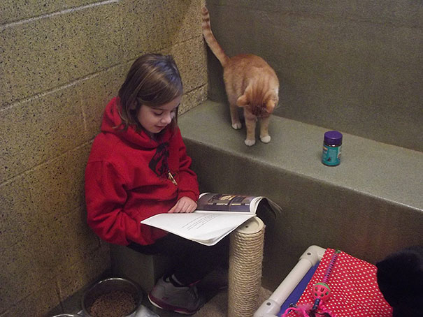 reading-children-shelter-cats-book-buddies-8 reading-children-shelter-cats-book-buddies-8