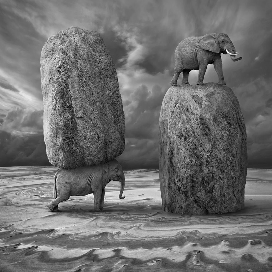 surreal-photo-manipulation-dariusz-klimczak-3 surreal-photo-manipulation-dariusz-klimczak-3