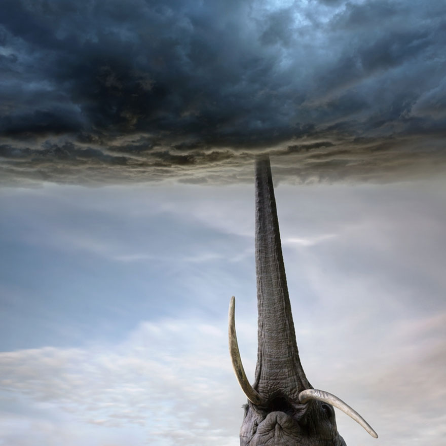 surreal-photo-manipulation-dariusz-klimczak-6