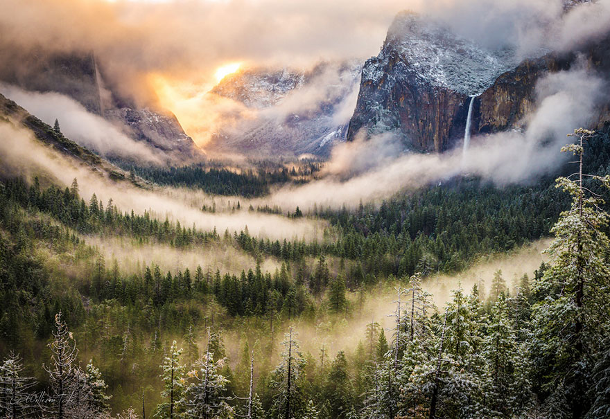 Forest with mountains Yosemite Valley, USA Forest with mountains Yosemite Valley, USA