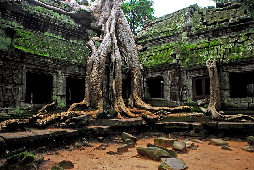 Old house with tree roots Angkor Wat, Cambodia Old house with tree roots Angkor Wat, Cambodia