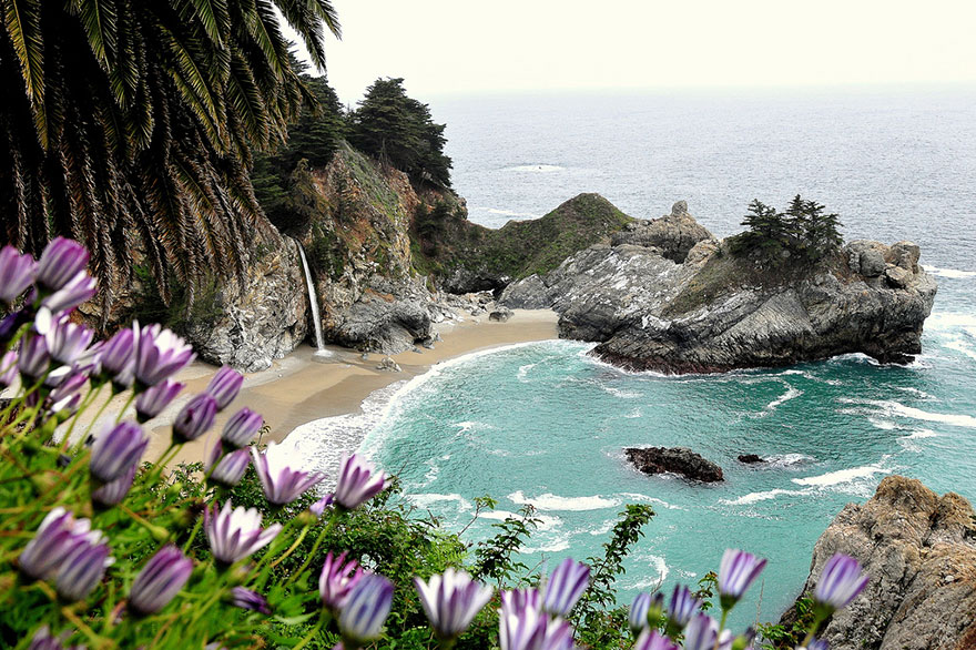 McWay Falls with flowers, USA McWay Falls with flowers, USA