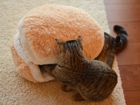 cat-burger-bed-maru-3 cat-burger-bed-maru-3