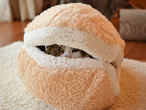 cat-burger-bed-maru-5 cat-burger-bed-maru-5