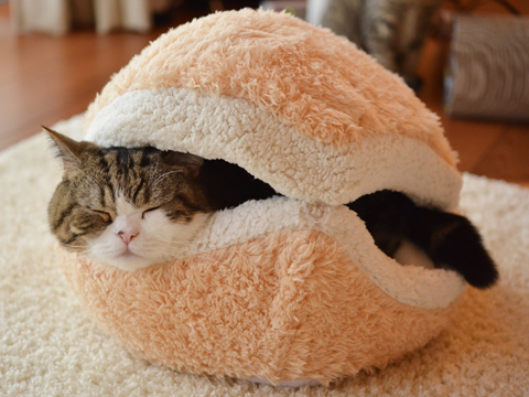 cat-burger-bed-maru-6 cat-burger-bed-maru-6