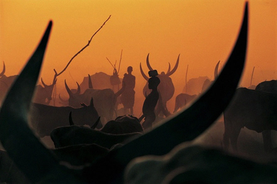 dinka-tribe-sudan-africa-carol-beckwith-angela-fisher-11 dinka-tribe-sudan-africa-carol-beckwith-angela-fisher-11