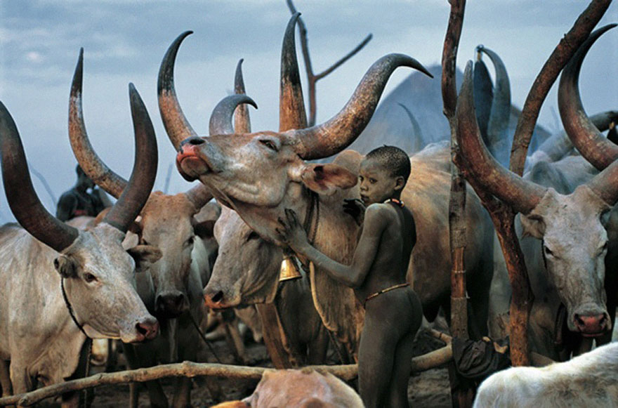 dinka-tribe-sudan-africa-carol-beckwith-angela-fisher-14 dinka-tribe-sudan-africa-carol-beckwith-angela-fisher-14