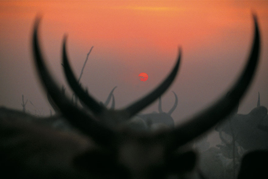 dinka-tribe-sudan-africa-carol-beckwith-angela-fisher-2 dinka-tribe-sudan-africa-carol-beckwith-angela-fisher-2