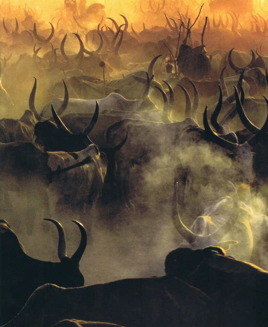 dinka-tribe-sudan-africa-carol-beckwith-angela-fisher-5 dinka-tribe-sudan-africa-carol-beckwith-angela-fisher-5