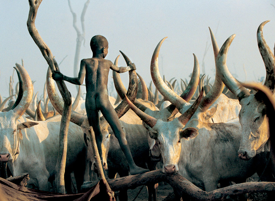 dinka-tribe-sudan-africa-carol-beckwith-angela-fisher-7