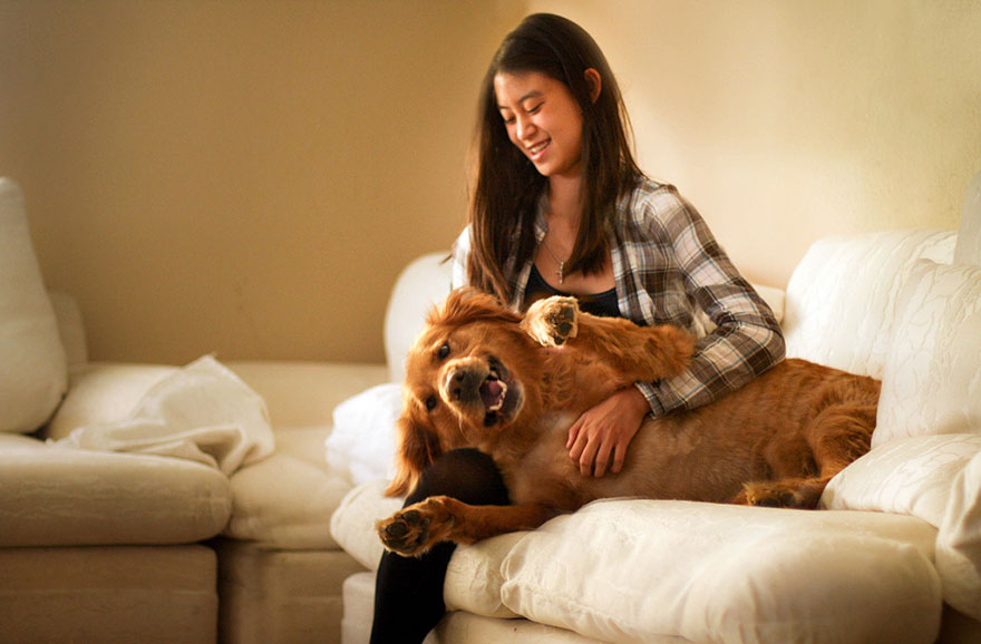 dog-photography-chuppy-golden-retriever-jessica-trinh-1 dog-photography-chuppy-golden-retriever-jessica-trinh-1