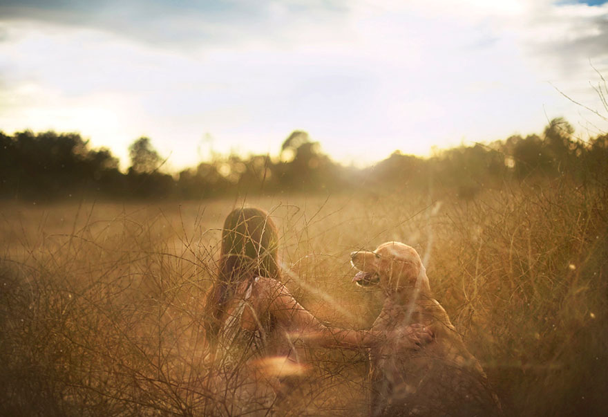 dog-photography-chuppy-golden-retriever-jessica-trinh-2 dog-photography-chuppy-golden-retriever-jessica-trinh-2