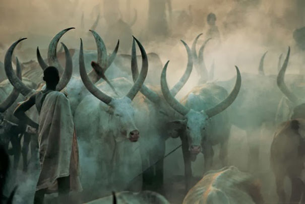 Extraordinary Photos: The Essence Of The Dinka Tribe In Sudan