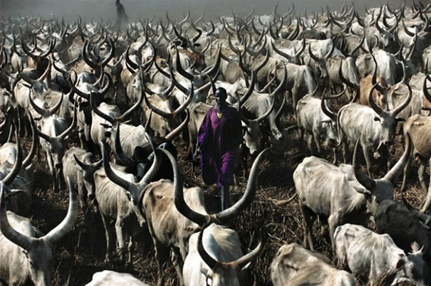 Extraordinary Photos: The Essence Of The Dinka Tribe In Sudan Extraordinary Photos: The Essence Of The Dinka Tribe In Sudan