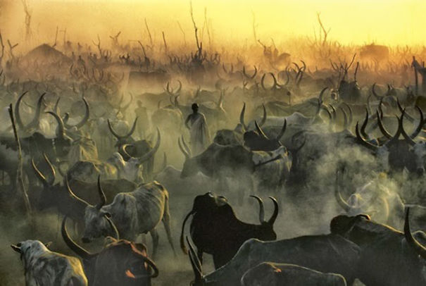 Extraordinary Photos: The Essence Of The Dinka Tribe In Sudan