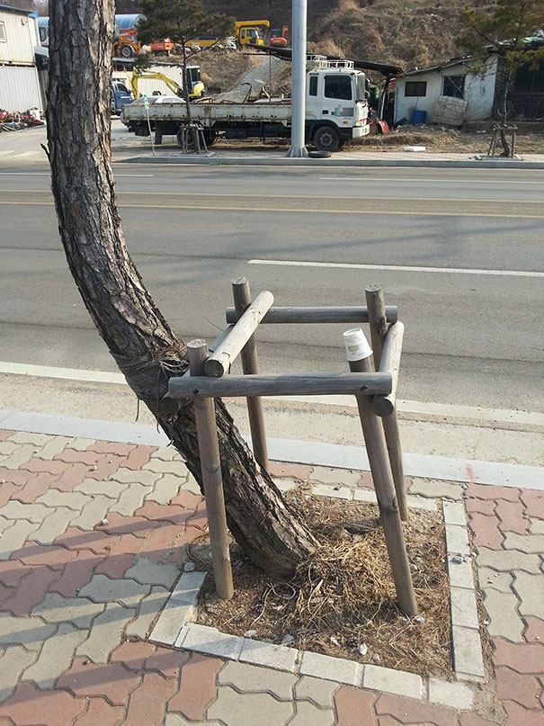 first-world-anarchists-funny-rebels-16 first-world-anarchists-funny-rebels-16