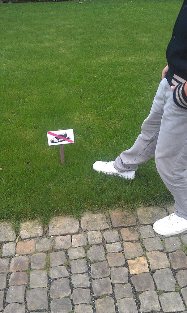 first-world-anarchists-funny-rebels-19 first-world-anarchists-funny-rebels-19