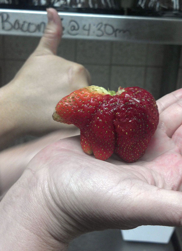 funny-shaped-vegetables-fruits-31 funny-shaped-vegetables-fruits-31