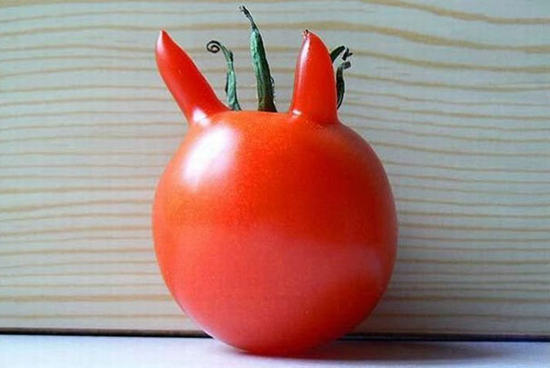 funny-shaped-vegetables-fruits-5 funny-shaped-vegetables-fruits-5