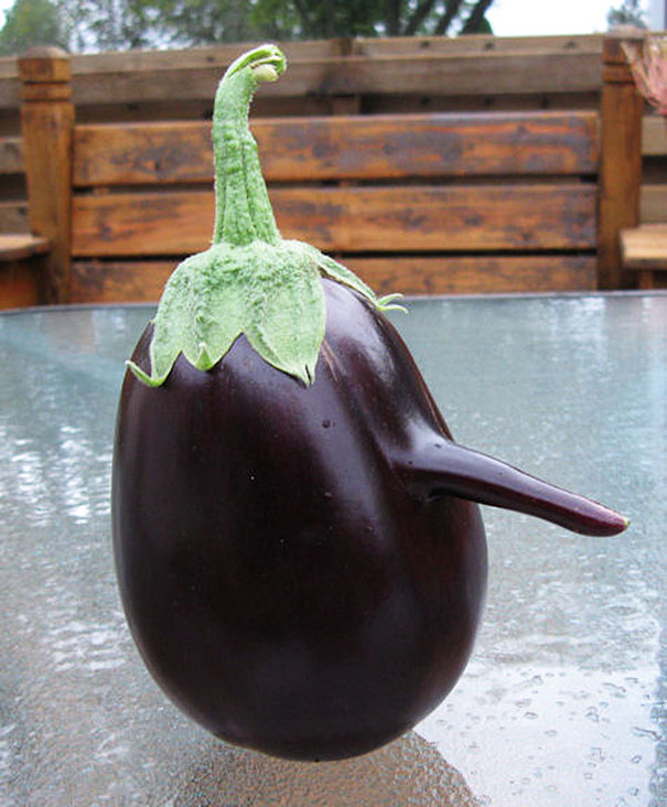 funny-shaped-vegetables-fruits-8 funny-shaped-vegetables-fruits-8