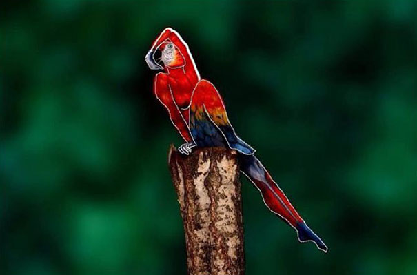 parrot-optical-illusion-body-art-johannes-stoetter-2 parrot-optical-illusion-body-art-johannes-stoetter-2