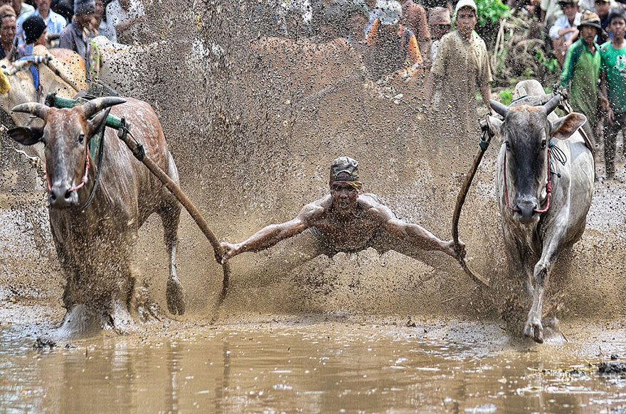 sony-world-photography-awards-2014-winners-6 sony-world-photography-awards-2014-winners-6