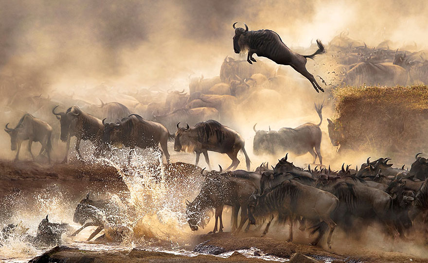 sony-world-photography-awards-2014-winners-7 sony-world-photography-awards-2014-winners-7