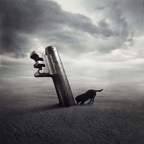 surreal-photoshop-images-shelter-animals-sarolta-ban-4 surreal-photoshop-images-shelter-animals-sarolta-ban-4