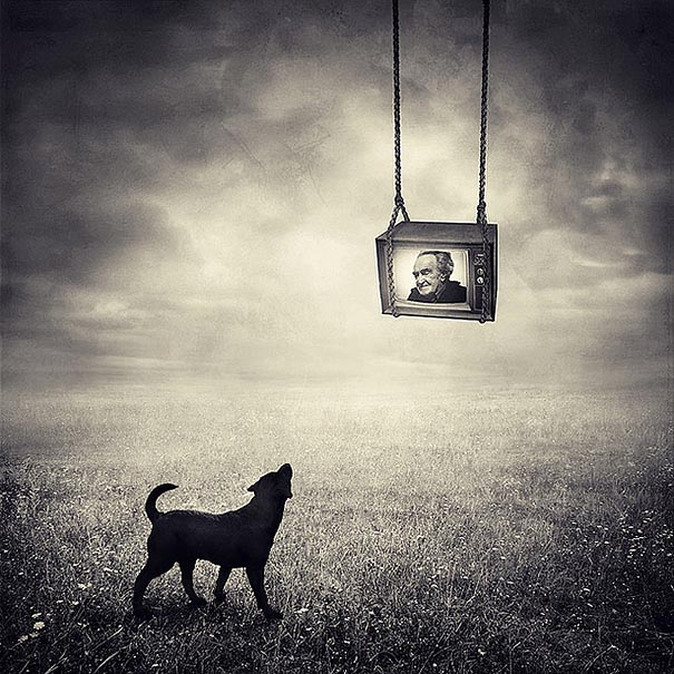surreal-photoshop-images-shelter-animals-sarolta-ban-5