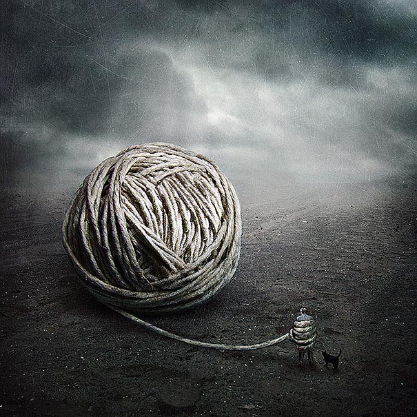 surreal-photoshop-images-shelter-animals-sarolta-ban-7