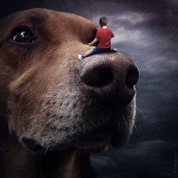 surreal-photoshop-images-shelter-animals-sarolta-ban-9 surreal-photoshop-images-shelter-animals-sarolta-ban-9