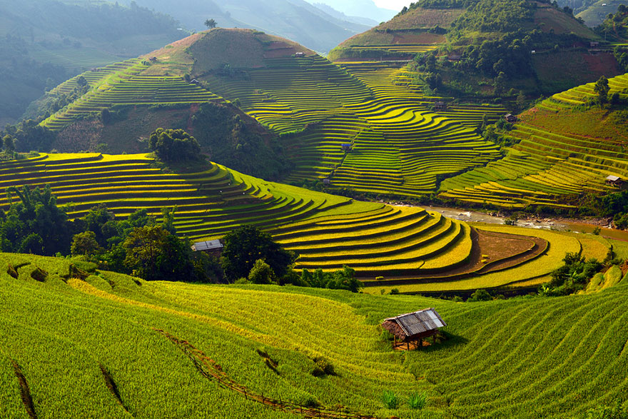Rice Terrace Fields in Mu Cang Chai, Vietnam Rice Terrace Fields in Mu Cang Chai, Vietnam