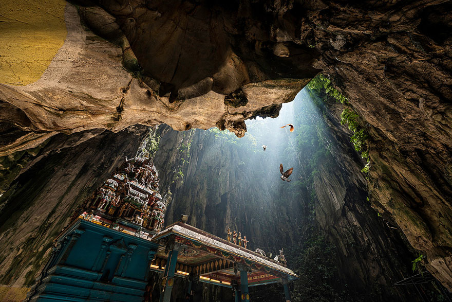 Bird flying in Batu Caves, Malaysia Bird flying in Batu Caves, Malaysia