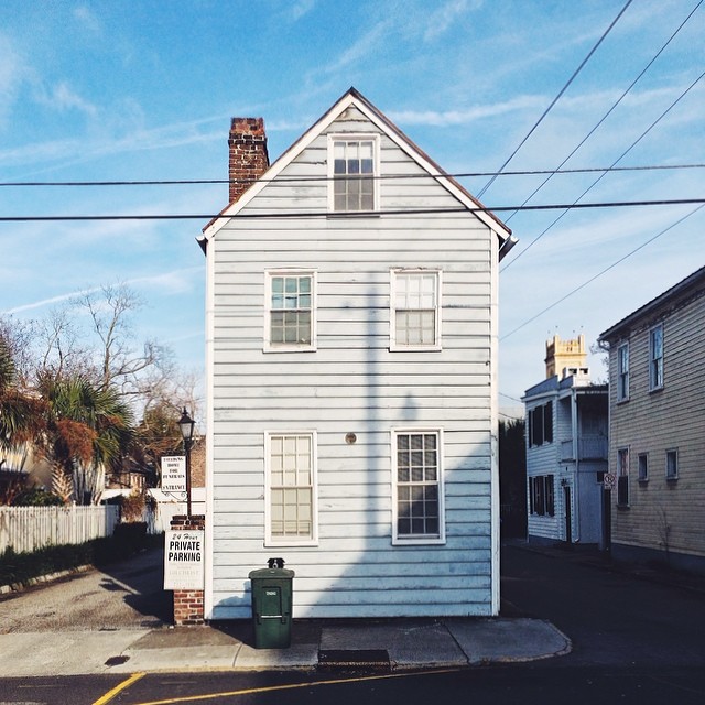 find-momo-andrew-knapp-14 find-momo-andrew-knapp-14