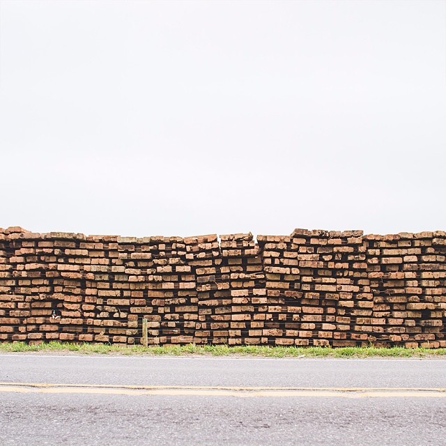 find-momo-andrew-knapp-17 find-momo-andrew-knapp-17