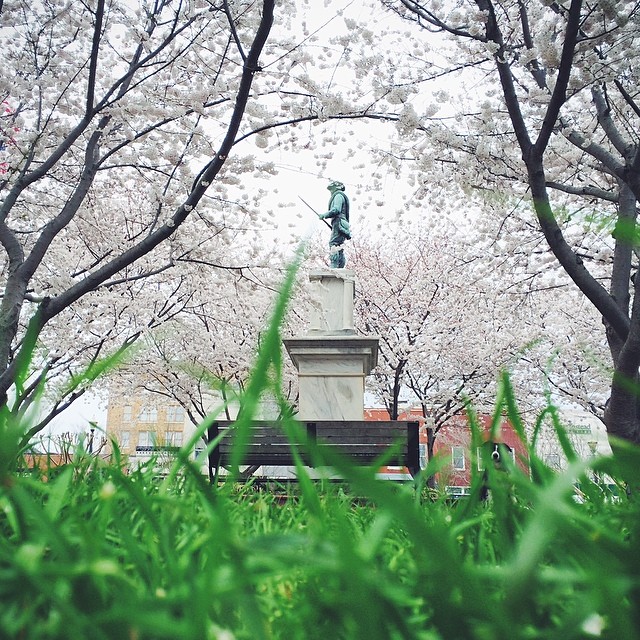 find-momo-andrew-knapp-2-5 find-momo-andrew-knapp-2-5