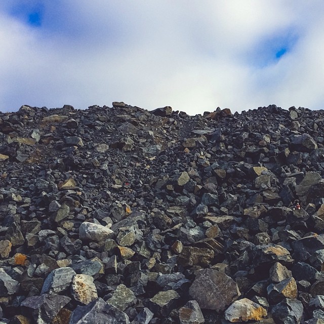 find-momo-andrew-knapp-20 find-momo-andrew-knapp-20