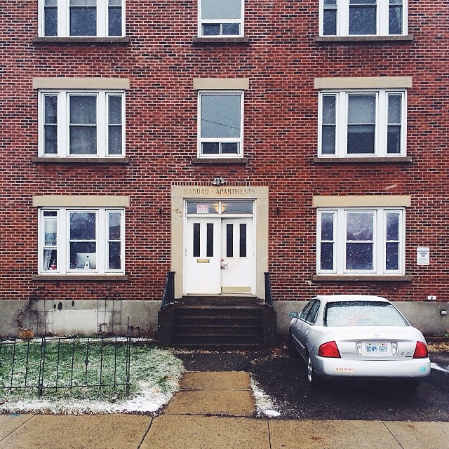 find-momo-andrew-knapp-21 find-momo-andrew-knapp-21