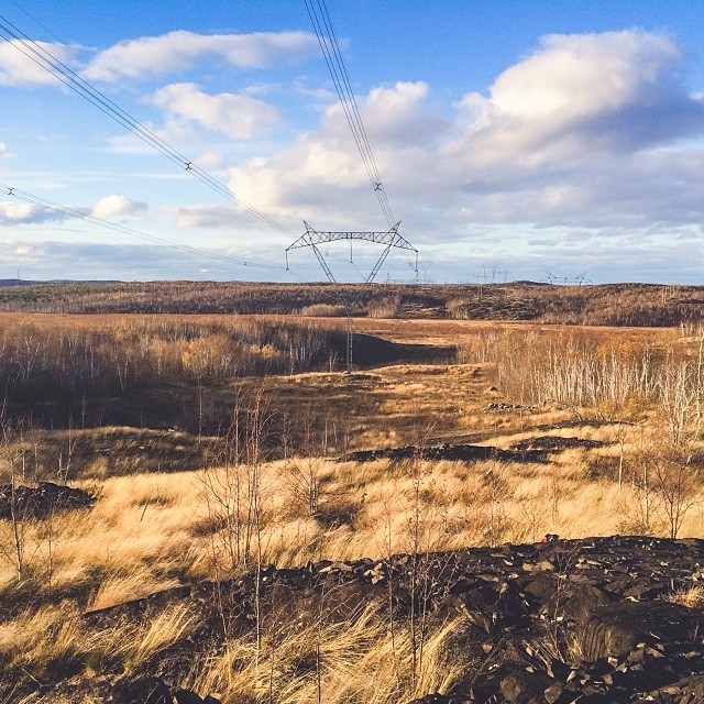 find-momo-andrew-knapp-22 find-momo-andrew-knapp-22