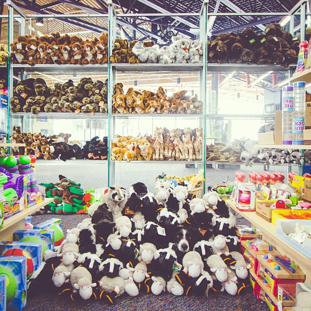 find-momo-andrew-knapp-23 find-momo-andrew-knapp-23