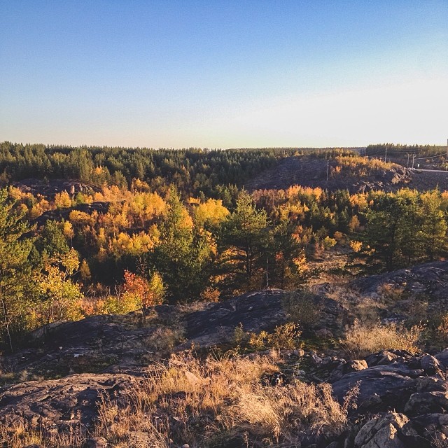 find-momo-andrew-knapp-24 find-momo-andrew-knapp-24