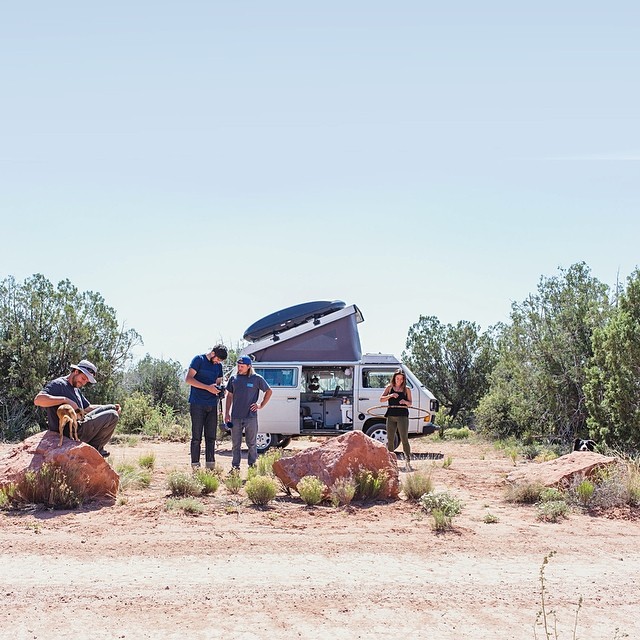 find-momo-andrew-knapp-7 find-momo-andrew-knapp-7