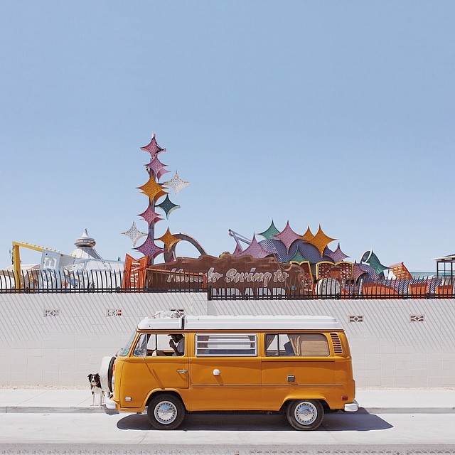 find-momo-andrew-knapp-8 find-momo-andrew-knapp-8