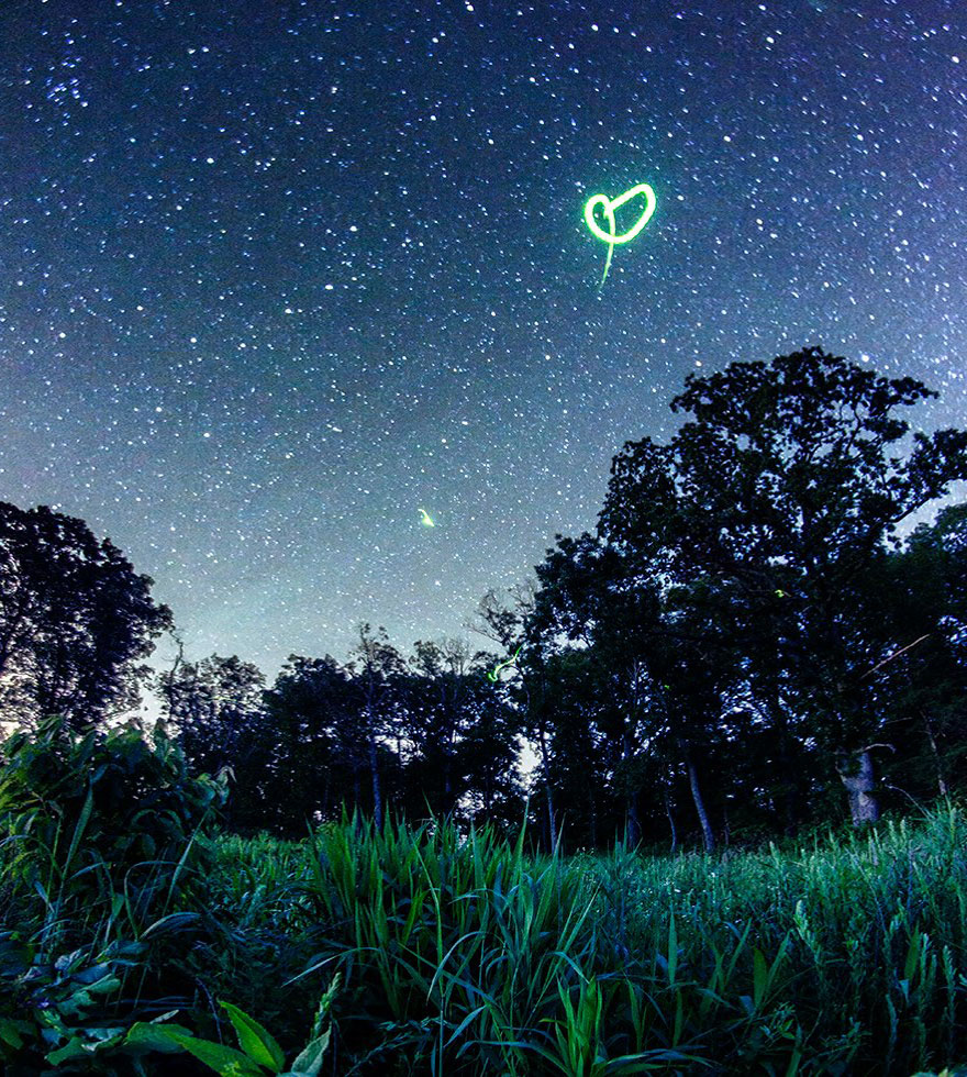fireflies-time-lapse-photography-vincent-brady-13 fireflies-time-lapse-photography-vincent-brady-13