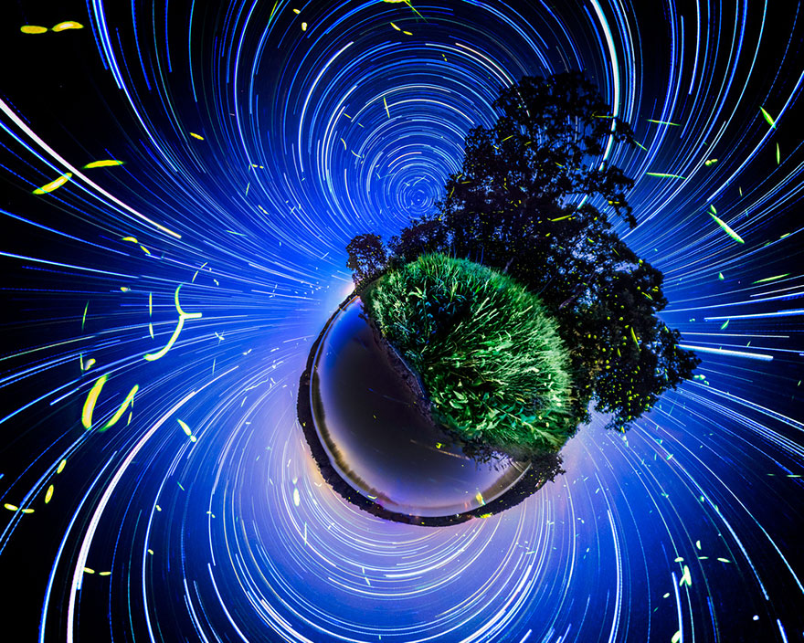 fireflies-time-lapse-photography-vincent-brady-3 fireflies-time-lapse-photography-vincent-brady-3