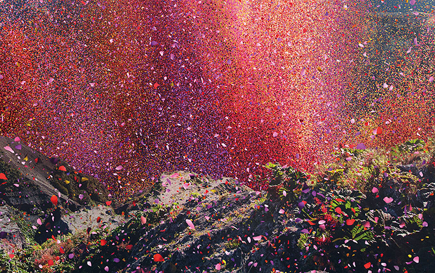 flower-petal-explosion-sony-4k-ultra-hd-8 flower-petal-explosion-sony-4k-ultra-hd-8